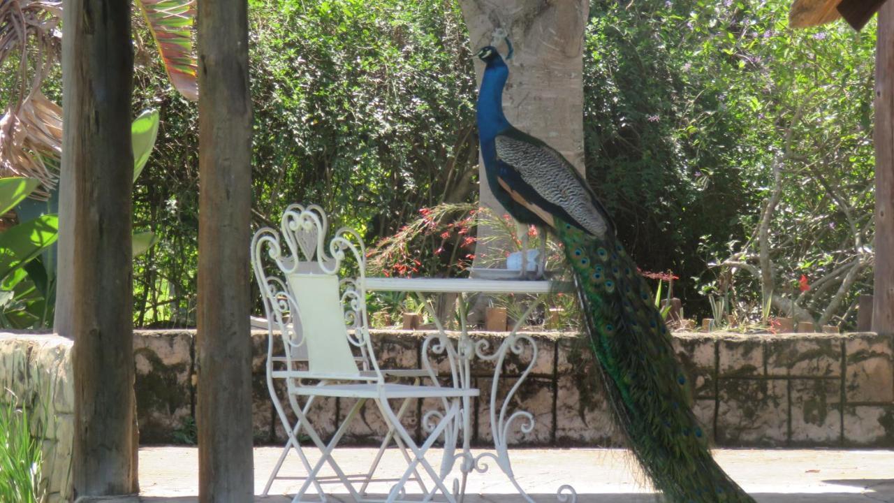 Dwaleni Farm Lodge Matsapha Eksteriør bilde